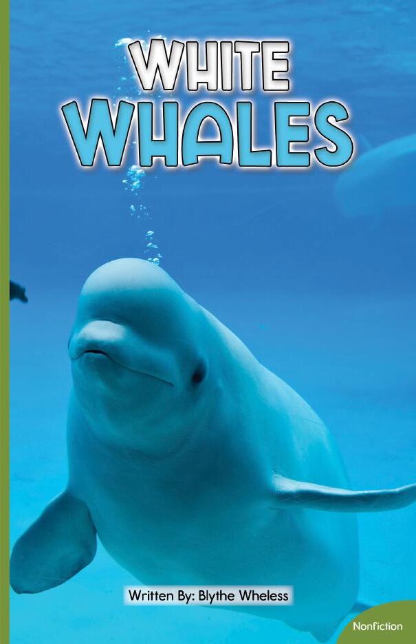 White Whales — Cover